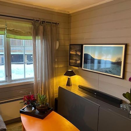 Koselig Leilighet , Med Parkering Og Ski In &Out. Apartment Опдал Екстериор снимка