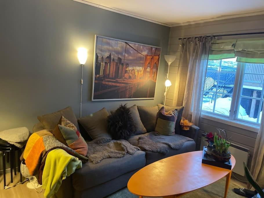Koselig Leilighet , Med Parkering Og Ski In &Out. Apartment Опдал Екстериор снимка