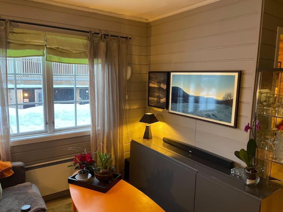 Koselig Leilighet , Med Parkering Og Ski In &Out. Apartment Опдал Екстериор снимка
