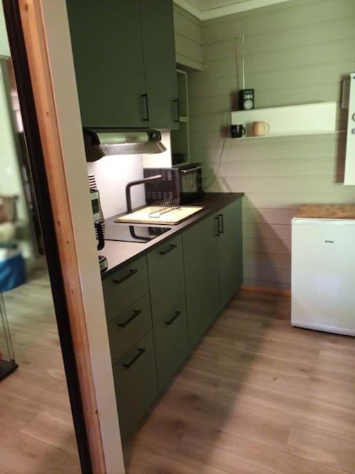 Koselig Leilighet , Med Parkering Og Ski In &Out. Apartment Опдал Екстериор снимка